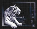 (image for) White Tiger